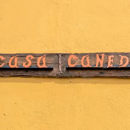 Casa Canedo Casa de Férias *